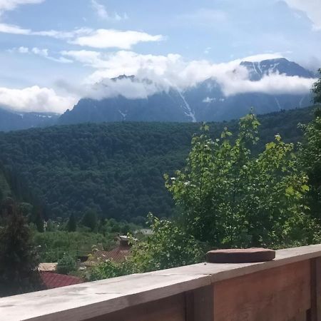Doi Iepuri Azuga Exterior foto