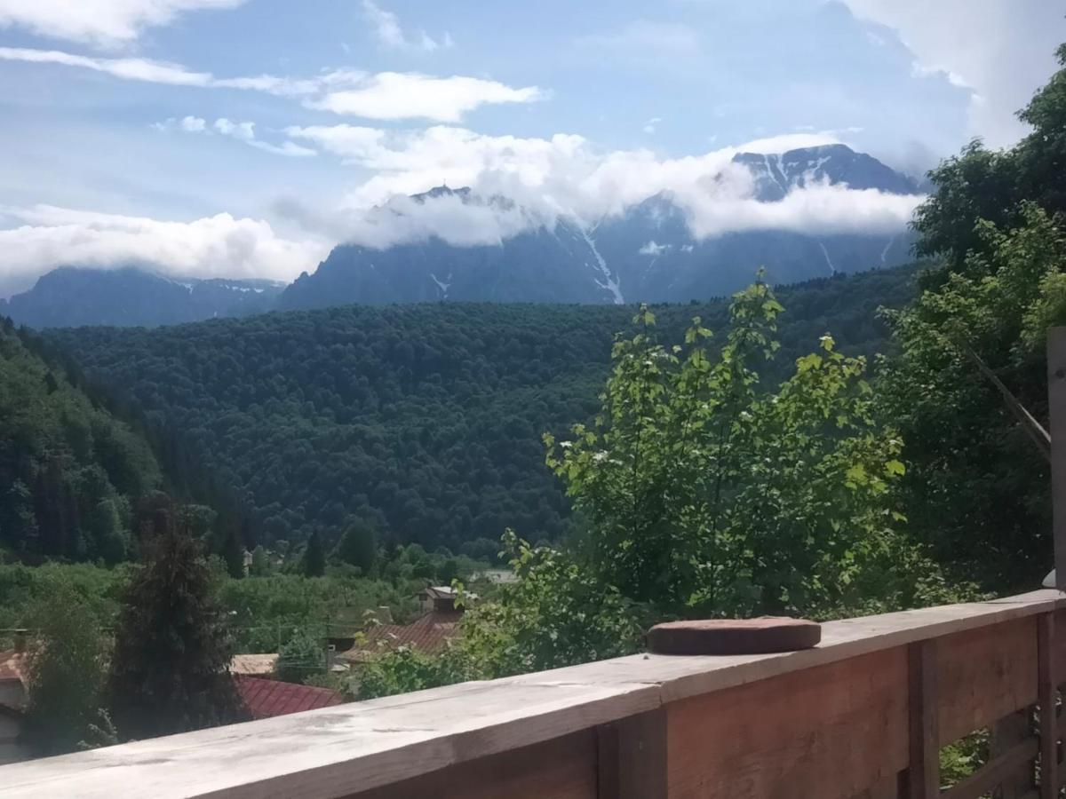 Doi Iepuri Azuga Exterior foto